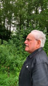 Végétation exubérante au bord de la rivière, Lislet, Picardie